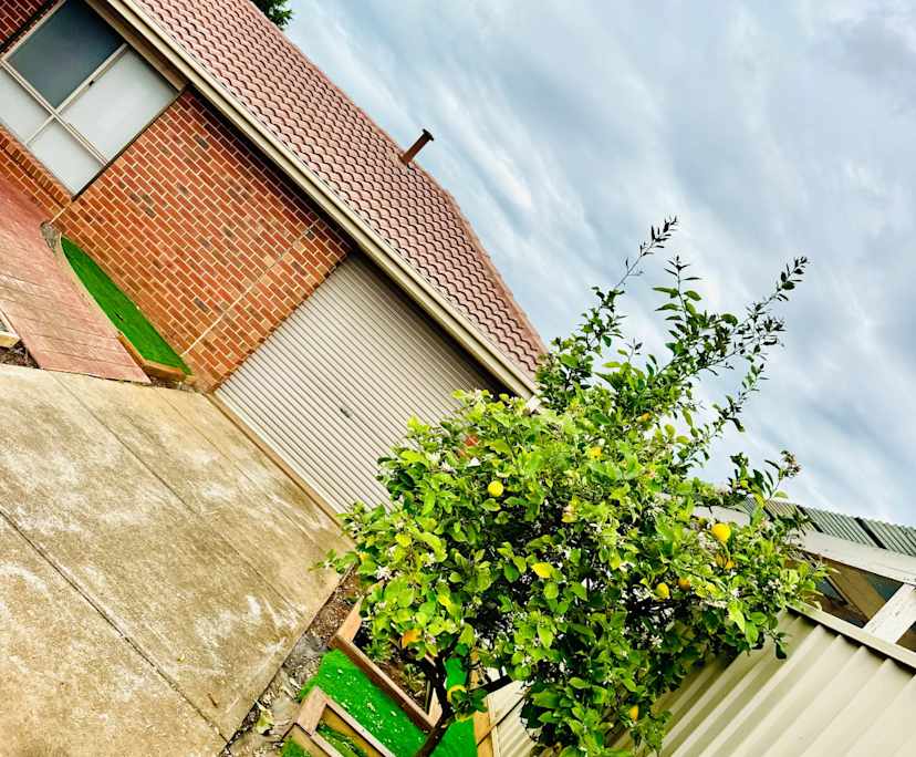 $175, Share-house, 3 bathrooms, Melton South VIC 3338