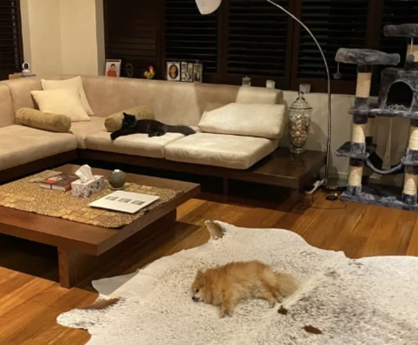 $300, Homestay, 4 bathrooms, Warner QLD 4500