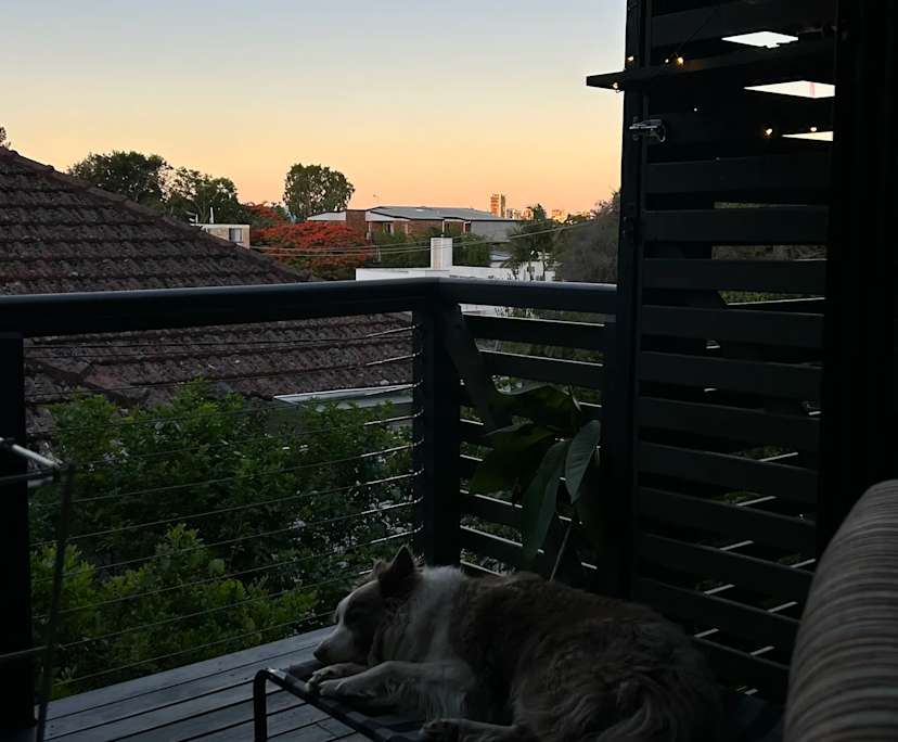 $300, Flatshare, 2 bathrooms, Toowong QLD 4066