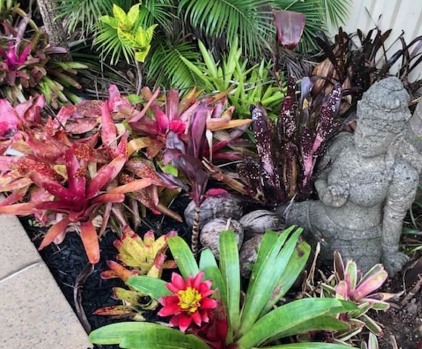 $290, Homestay, 4 bathrooms, Coffs Harbour NSW 2450