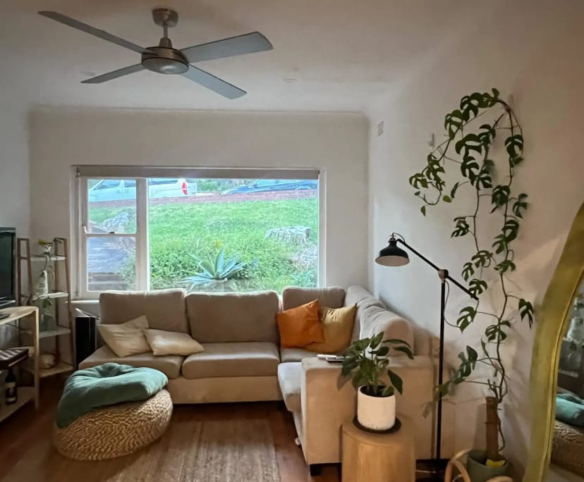 Whole property with 2 rooms for rent