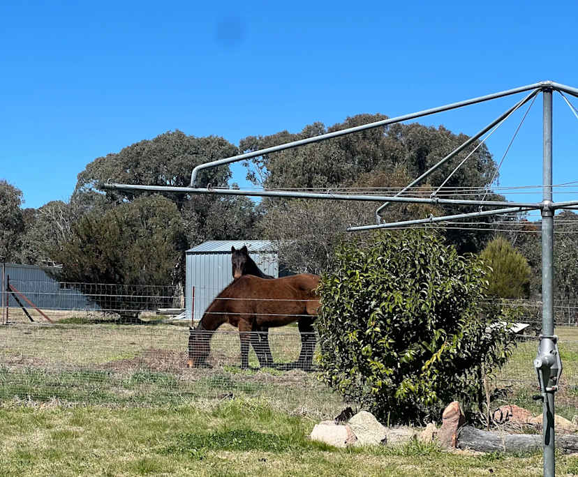 $200-270, Share-house, 2 rooms, Severnlea QLD 4380, Severnlea QLD 4380