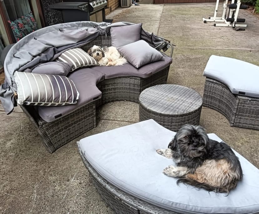 2 Rooms for Rent in Beaumaris, Melbourne 290, Fle...