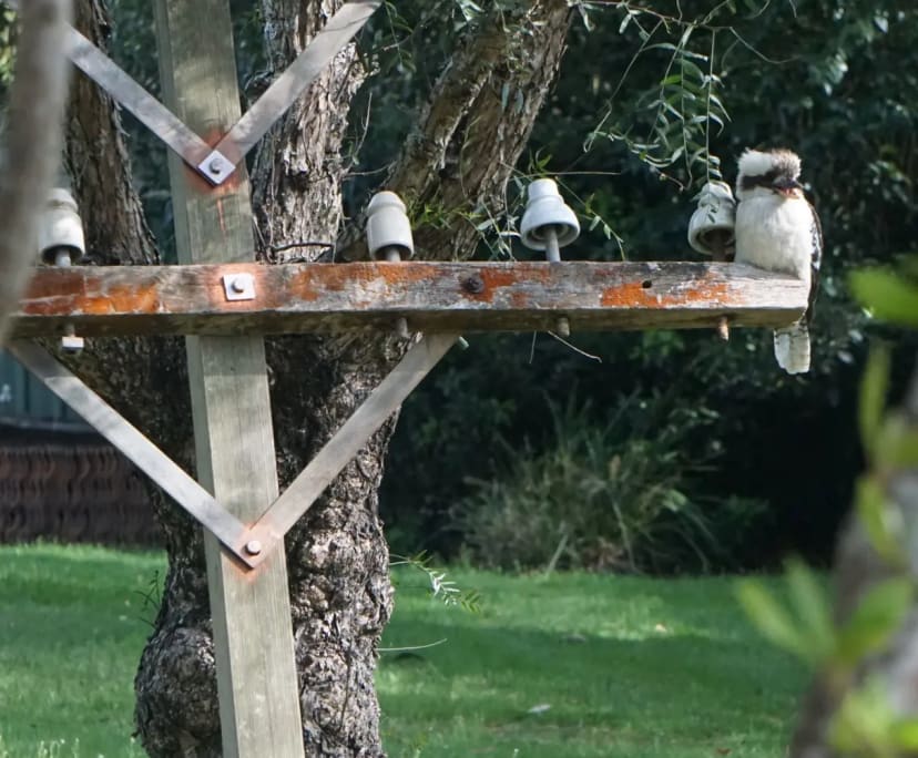 $325, Share-house, 4 bathrooms, Willow Vale NSW 2575