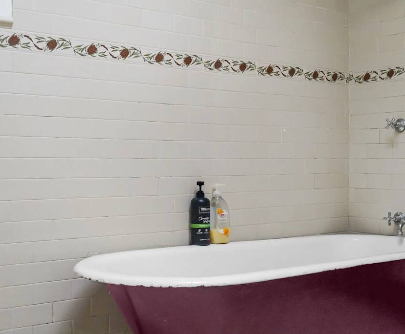 $260, Student-accommodation, 4 bathrooms, Chippendale NSW 2008