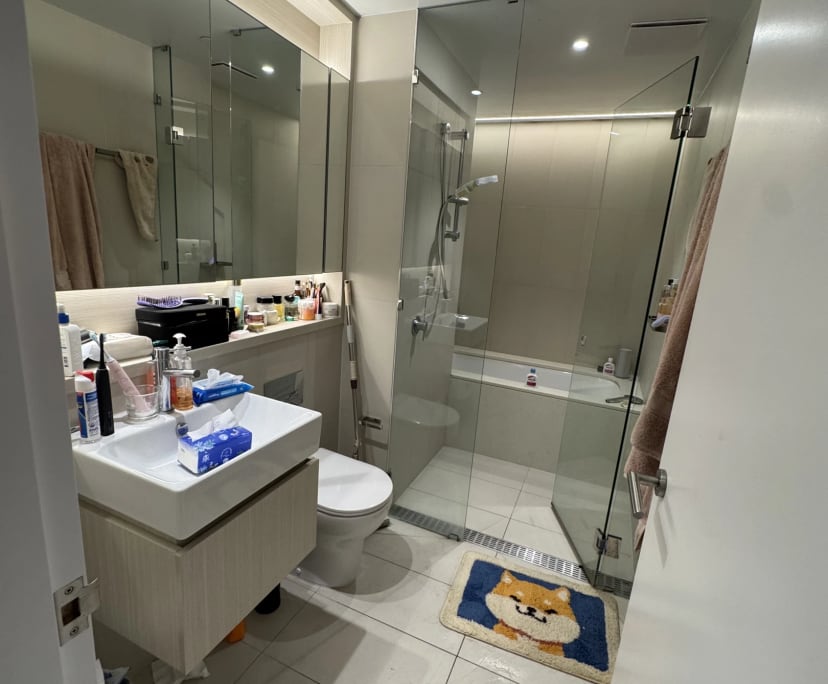 Whole property with 2 rooms for rent
