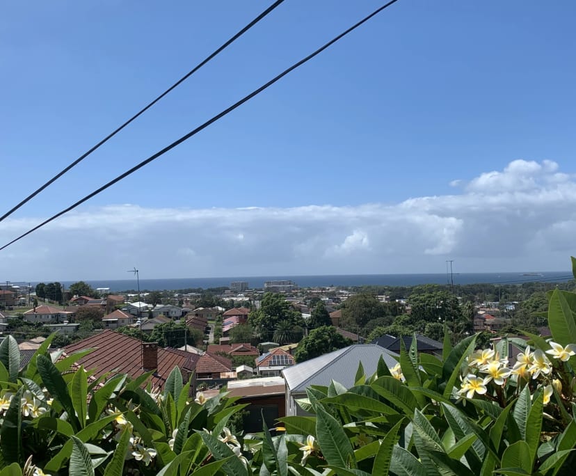 Whole property with 4 rooms for rent