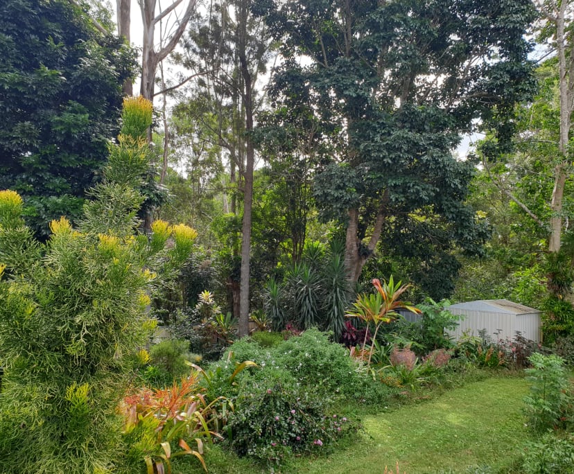 $240, Share-house, 3 bathrooms, Goonellabah NSW 2480