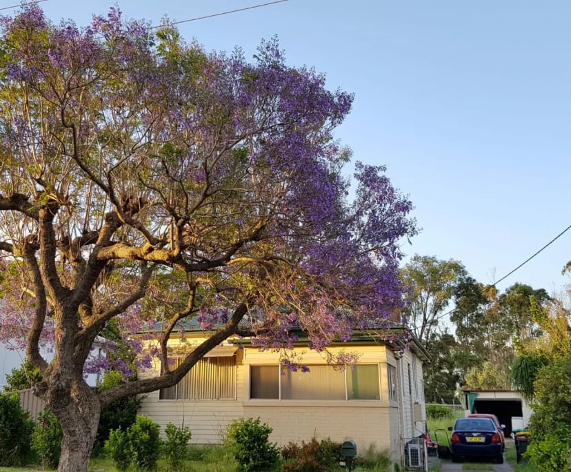 $220, Share-house, 3 bathrooms, Beresfield NSW 2322