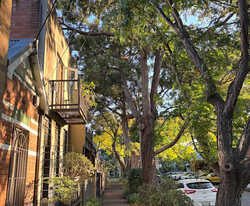 $625, Share-house, 2 bathrooms, Redfern NSW 2016