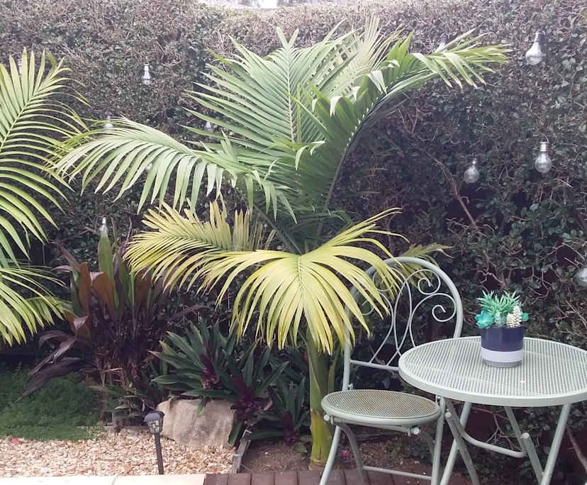 $300, Share-house, 4 bathrooms, Ormeau QLD 4208