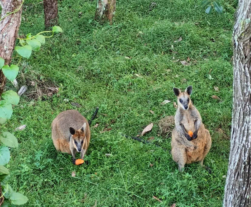 Room with ensuite in a flatshare