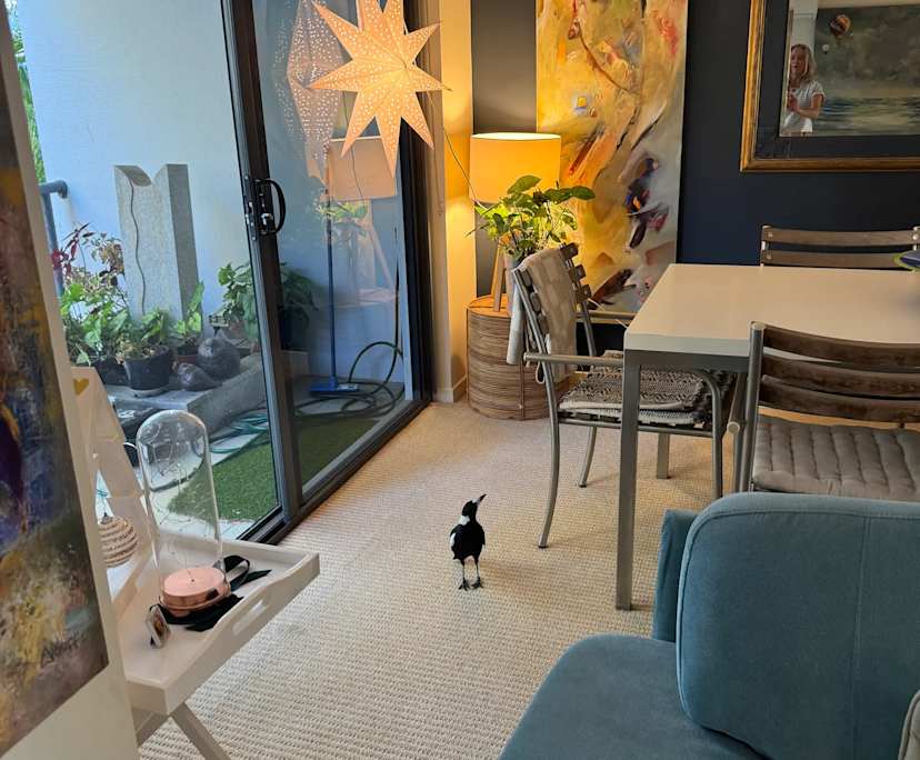 $600, 1-bed, 1 bathroom, Noosaville QLD 4566