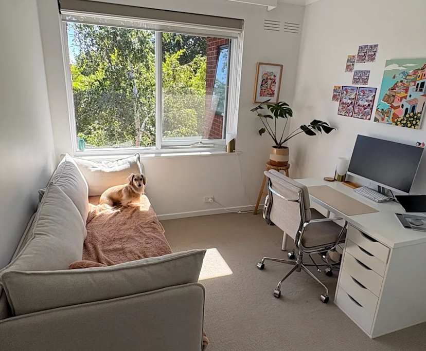 $350, Flatshare, 2 bathrooms, Hawthorn East VIC 3123