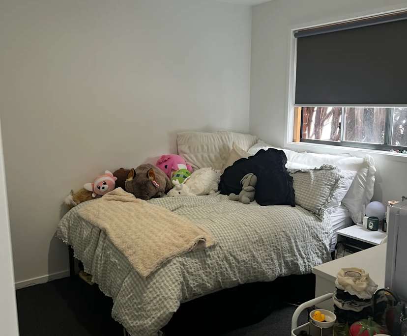 Room in a share house