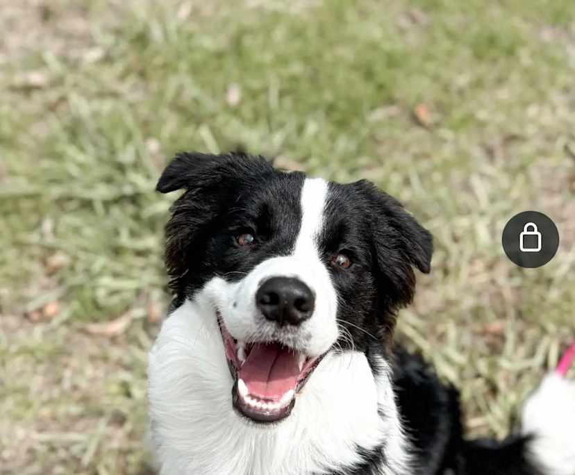 $360, Share-house, 2 rooms, Eastwood NSW 2122, Eastwood NSW 2122