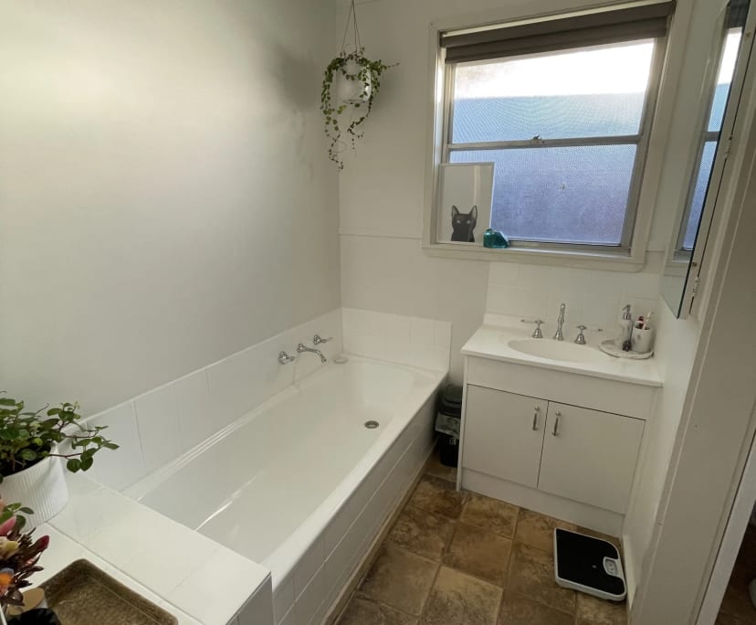 $250, Share-house, 3 bathrooms, Hastings VIC 3915