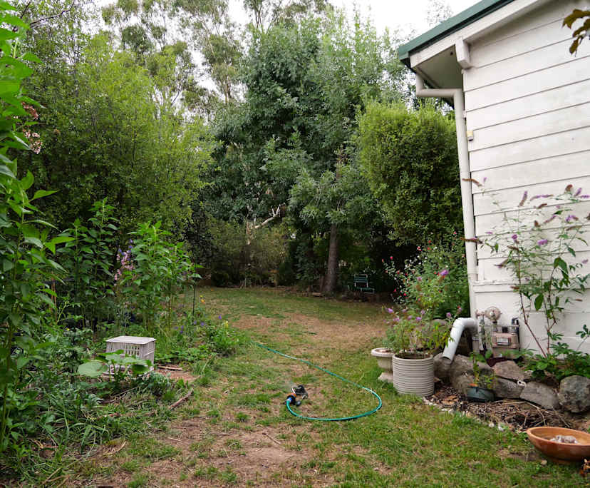 $250, Share-house, 3 bathrooms, O'Connor ACT 2602