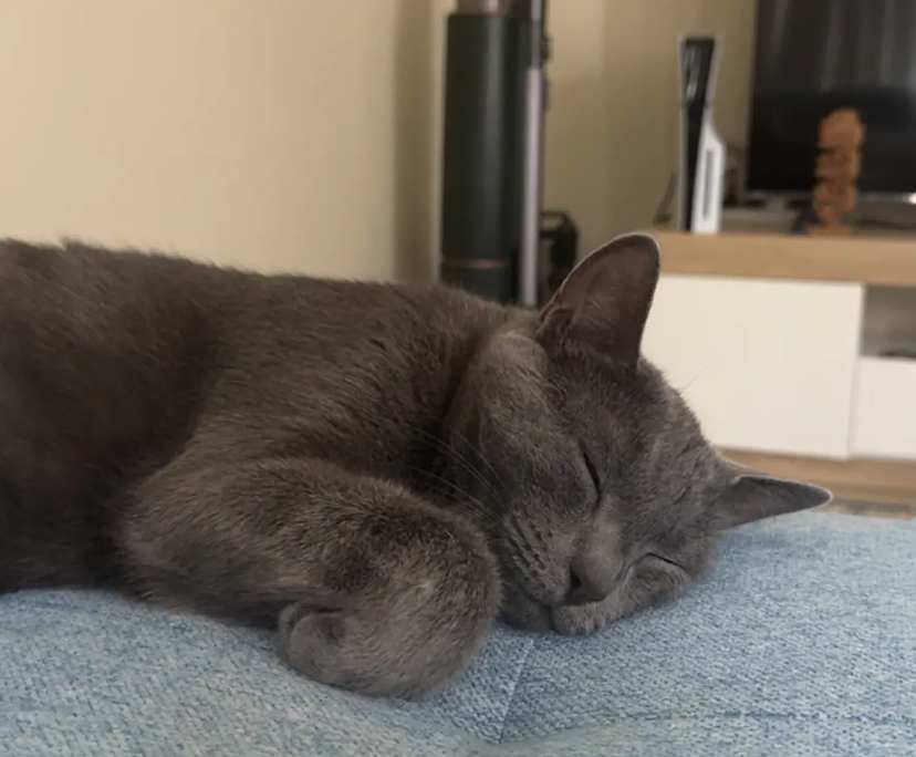 $265, Share-house, 2 bathrooms, Narre Warren VIC 3805