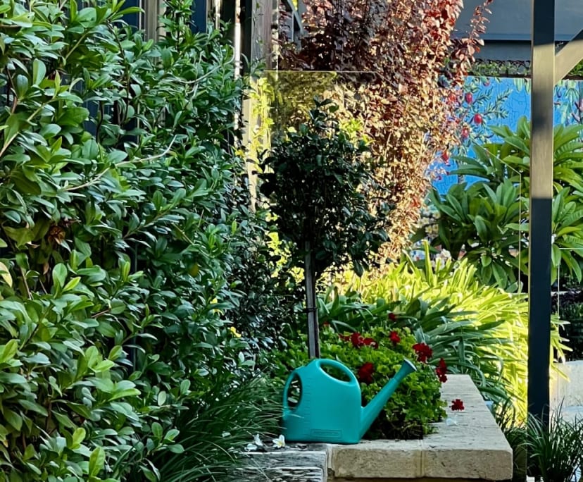 $650, Share-house, 2 bathrooms, Fremantle WA 6162