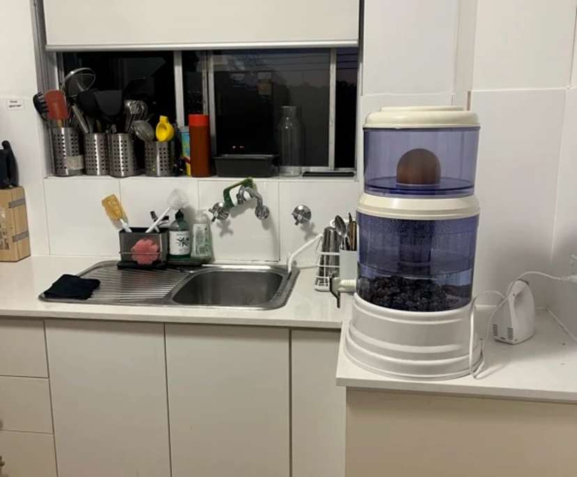 $325, Flatshare, 2 bathrooms, Homebush West NSW 2140