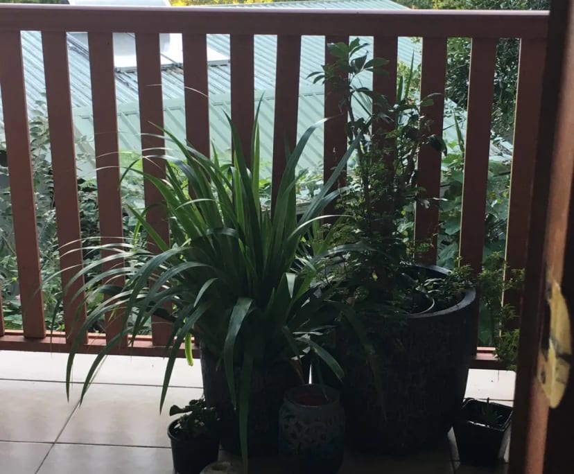 $200, Share-house, 5 bathrooms, Indooroopilly QLD 4068