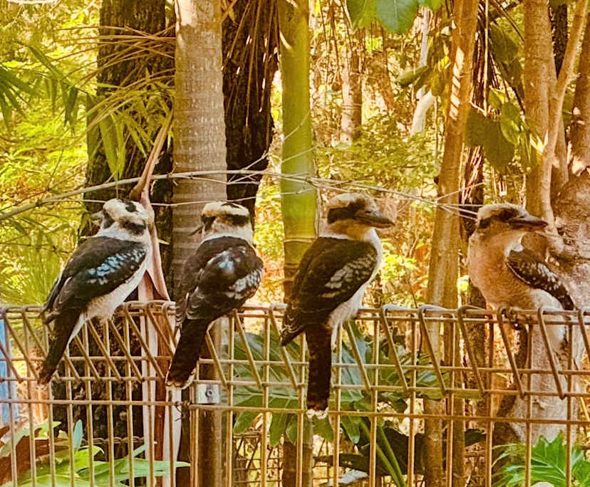 $250-300, Share-house, 3 rooms, Carramar WA 6031, Carramar WA 6031