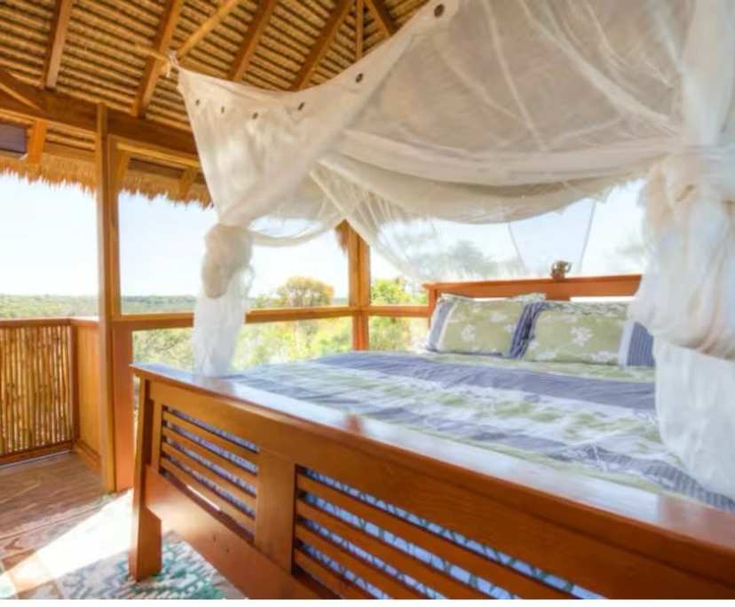 propertyImage