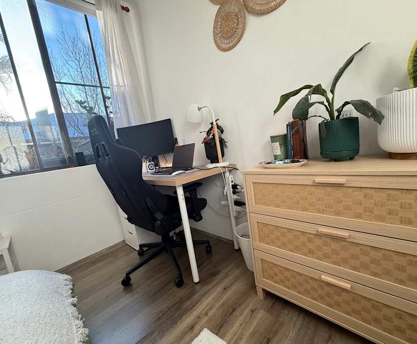 $450, Flatshare, 3 bathrooms, Fairlight NSW 2094