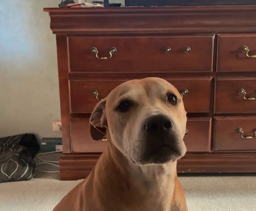 $150, Share-house, 3 bathrooms, Greenfields WA 6210