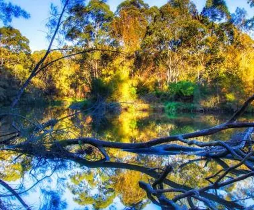 $300-400, Share-house, 3 rooms, Lane Cove NSW 2066, Lane Cove NSW 2066