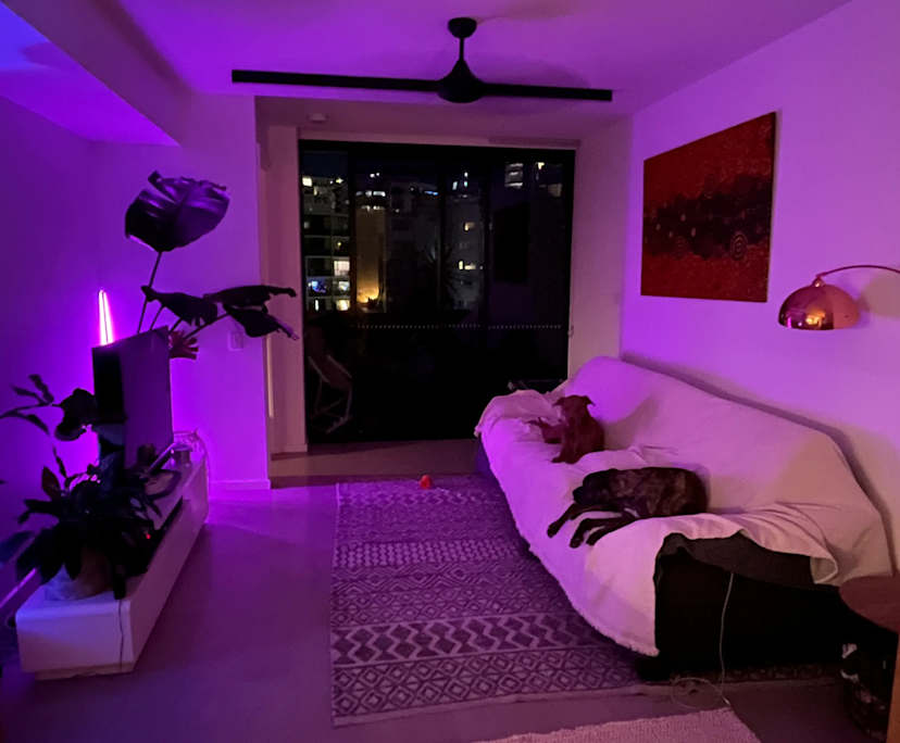 Furnished room with own bathroom