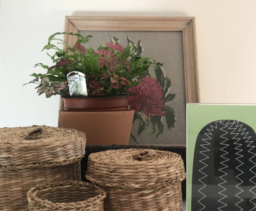 $350-650, Flatshare, 3 rooms, Pyrmont NSW 2009, Pyrmont NSW 2009