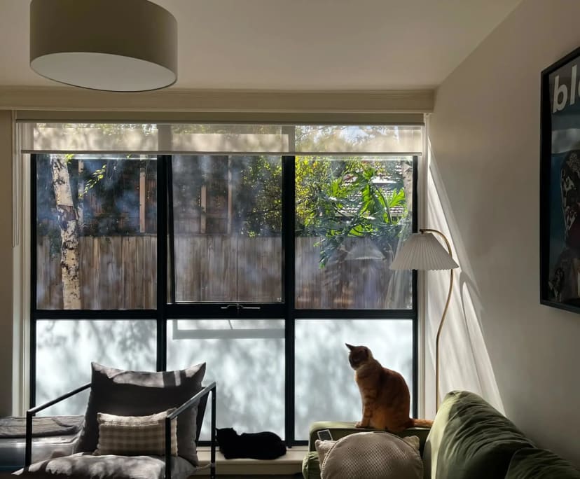 Furnished room in a flatshare