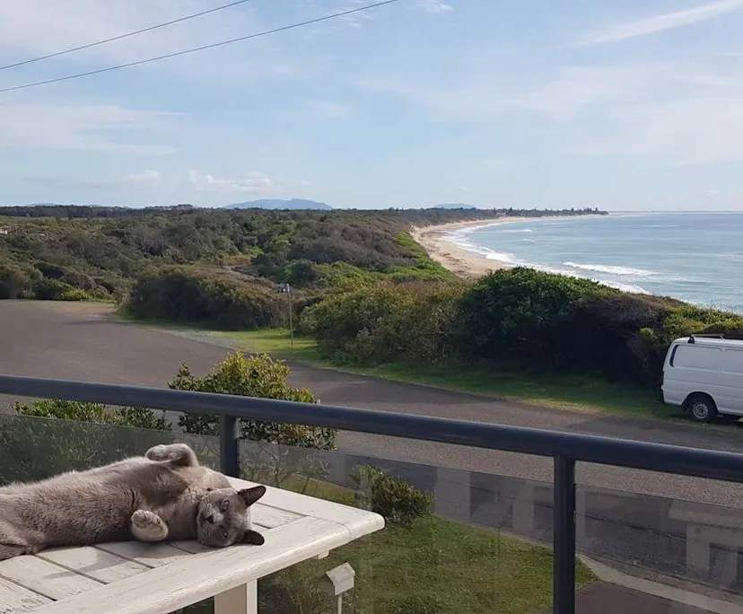 $350, Share-house, 2 bathrooms, Wallabi Point NSW 2430