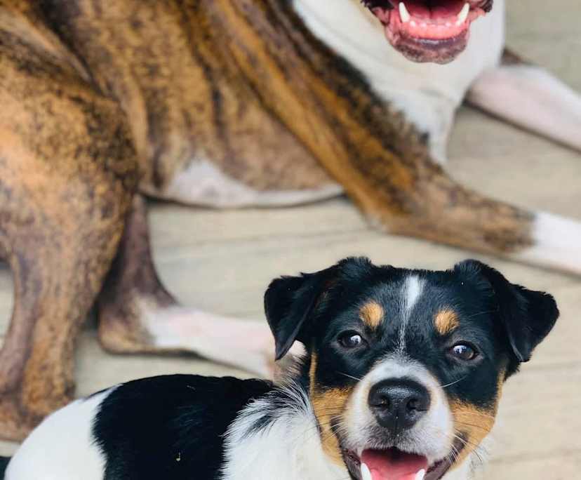 $250, Share-house, 3 bathrooms, Vincent QLD 4814