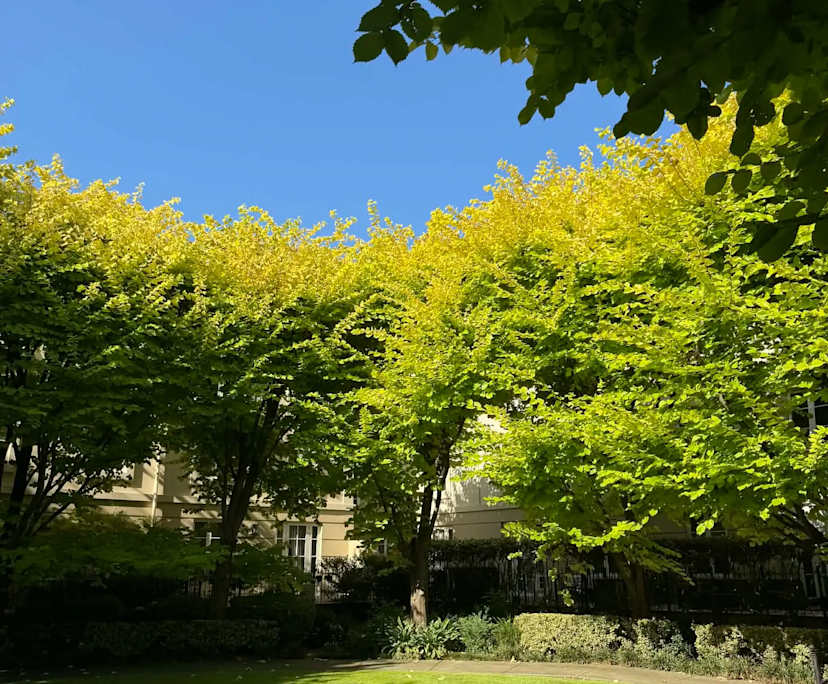 $370, Flatshare, 2 bathrooms, East Melbourne VIC 3002