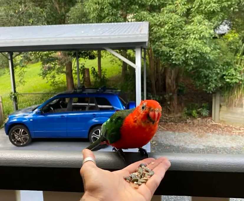 $305, Share-house, 4 bathrooms, Tallebudgera Valley QLD 4228