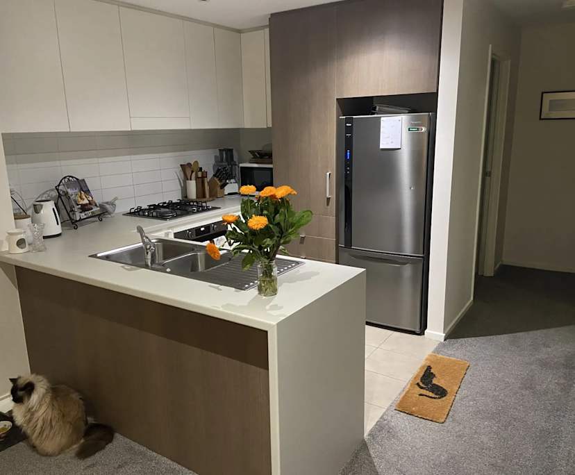 $275, Flatshare, 2 bathrooms, Kensington VIC 3031