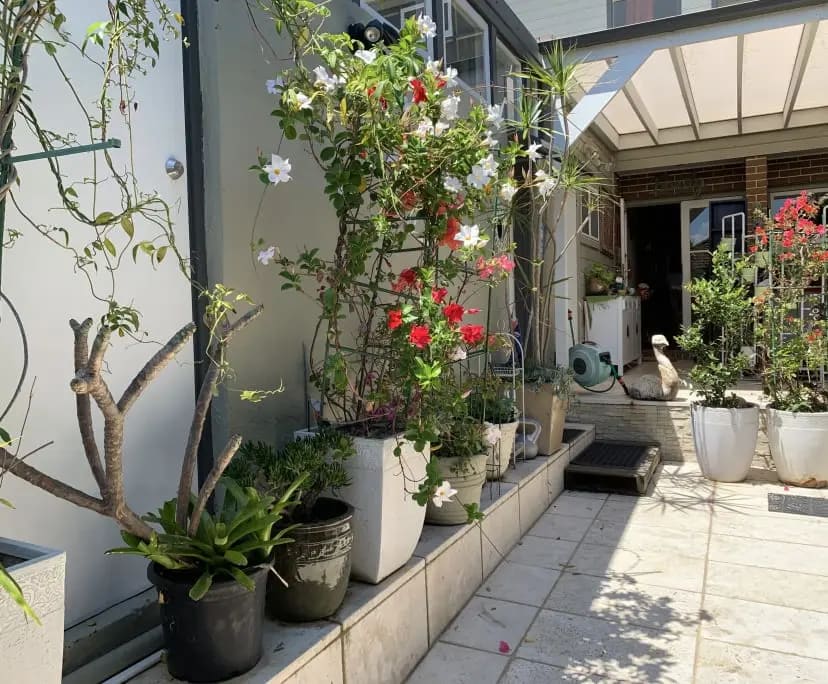 $449, Share-house, 3 bathrooms, Randwick NSW 2031