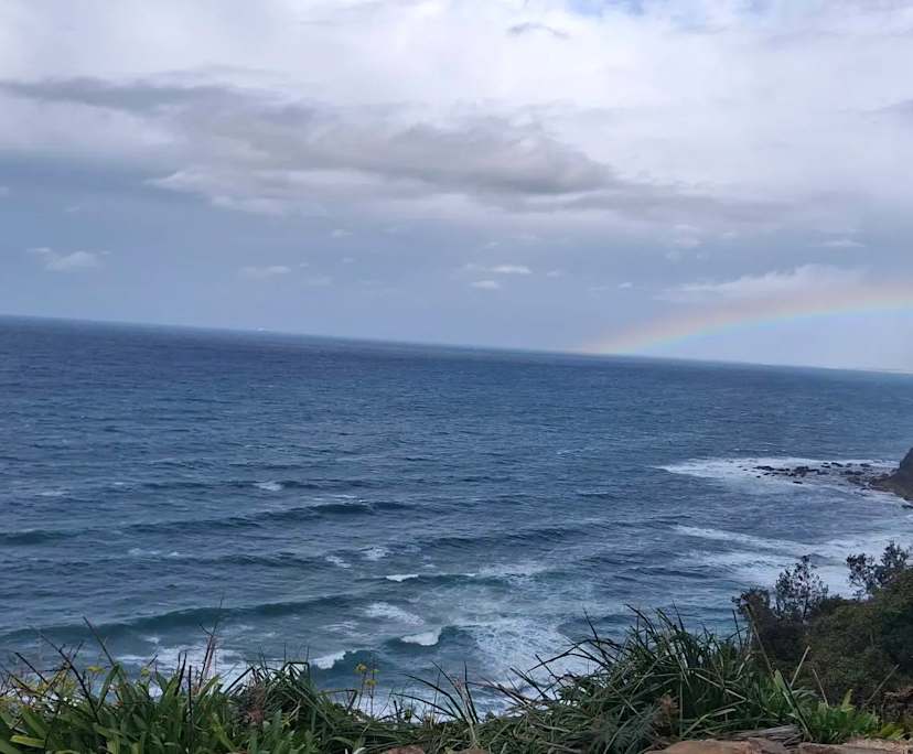 $265, Share-house, 3 bathrooms, Clifton NSW 2515