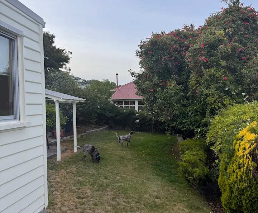 Unfurnished room in a share house