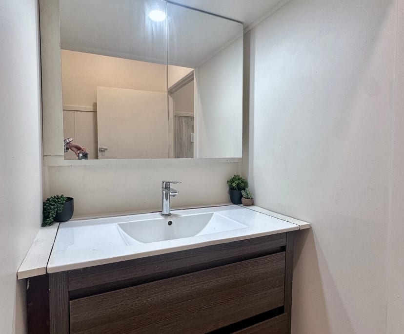 $295, Share-house, 5 bathrooms, Saint Lucia QLD 4067