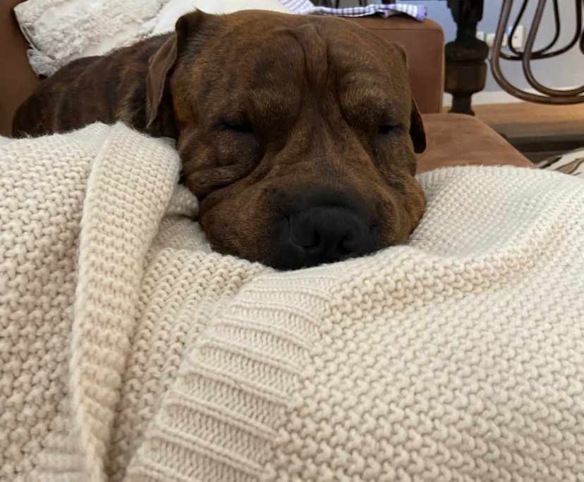 Unfurnished room in a flatshare