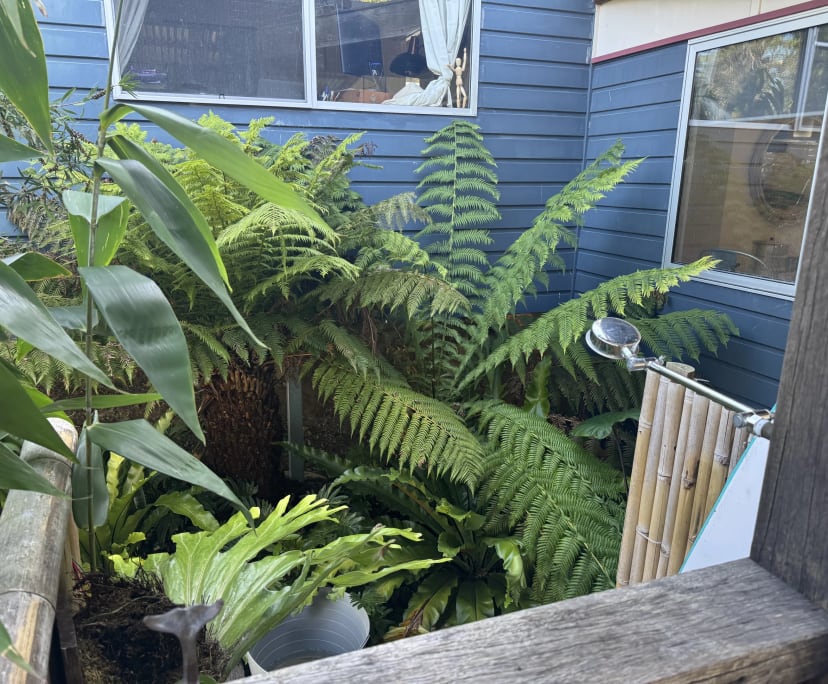 $280, Share-house, 4 bathrooms, South Durras NSW 2536