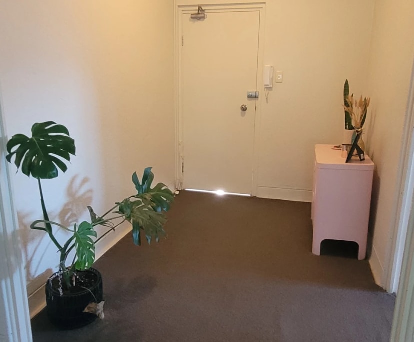 $535, Flatshare, 2 bathrooms, Randwick NSW 2031