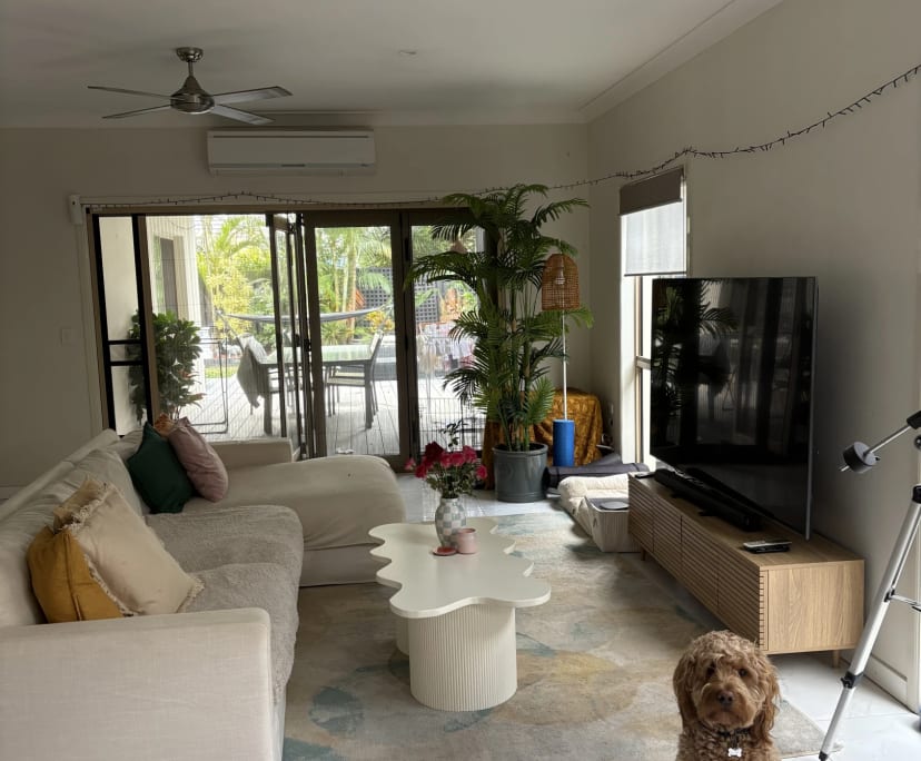 Room in a share house