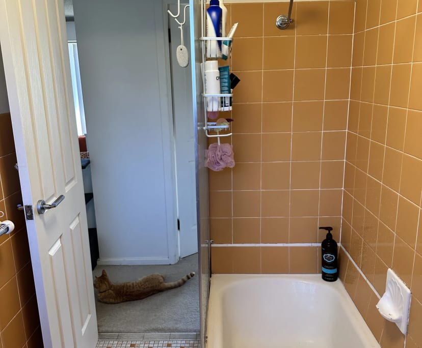 $350, Flatshare, 2 bathrooms, Hurlstone Park NSW 2193