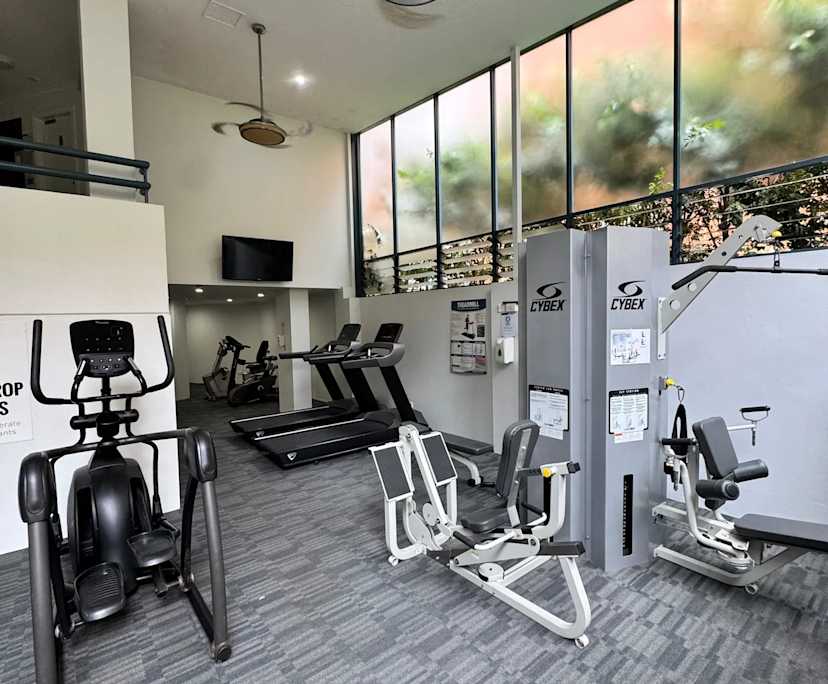 $465, Flatshare, 3 bathrooms, Pyrmont NSW 2009