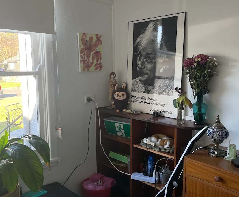 Unfurnished room in a share house